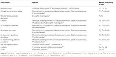 Genetic Diversity in Insect Metal Tolerance